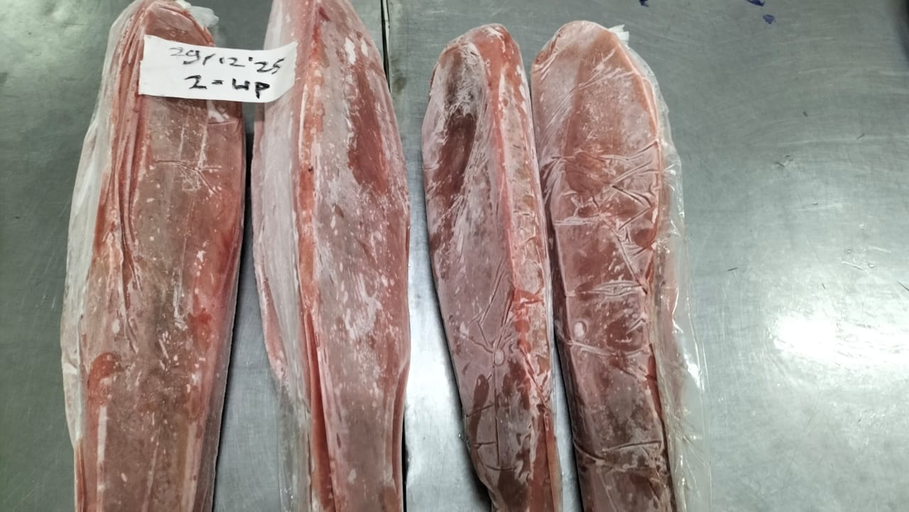 Loin Ikan Tuna